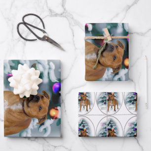 Hoja De Papel De Regalo Navidades de Staffordshire Bull Terrier