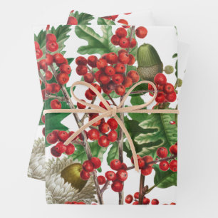 Hoja De Papel De Regalo Navidades Festividad Forestal Berries Acorn Evergr