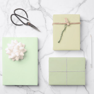 Hoja De Papel De Regalo Nyanza Pálido Gin Verde Claro Tonos Llenos 3 Tonos