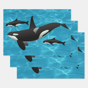 Hoja De Papel De Regalo Orca Whales