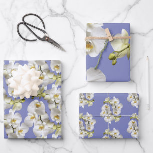 Hoja De Papel De Regalo Orquídeas blancas vincapervinca azul lavanda