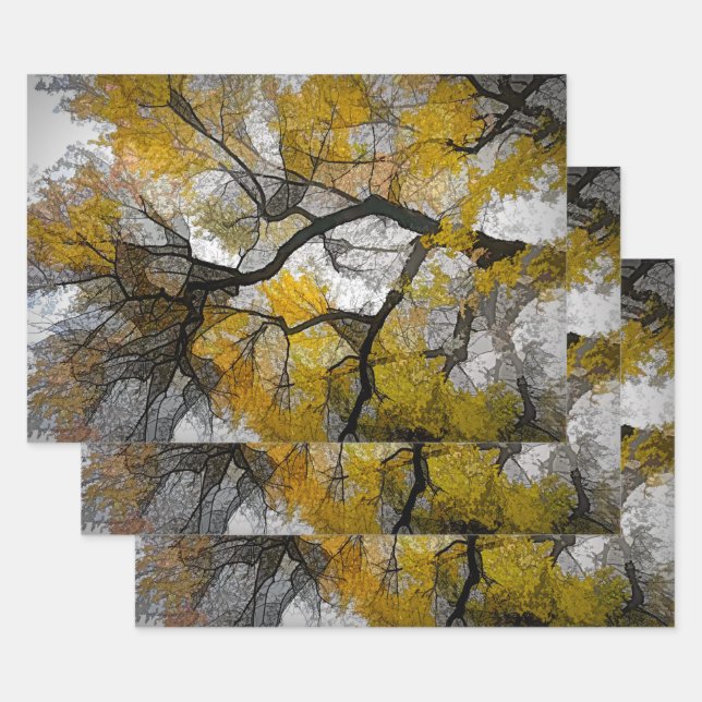 Hoja De Papel De Regalo Otoño El Gris Amarillo Deja Cielo (Set)