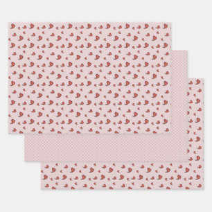 Hoja De Papel De Regalo Paisley Heart Wraping Paper Set