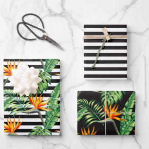 Hoja De Papel De Regalo Pájaro de Paraíso Floral