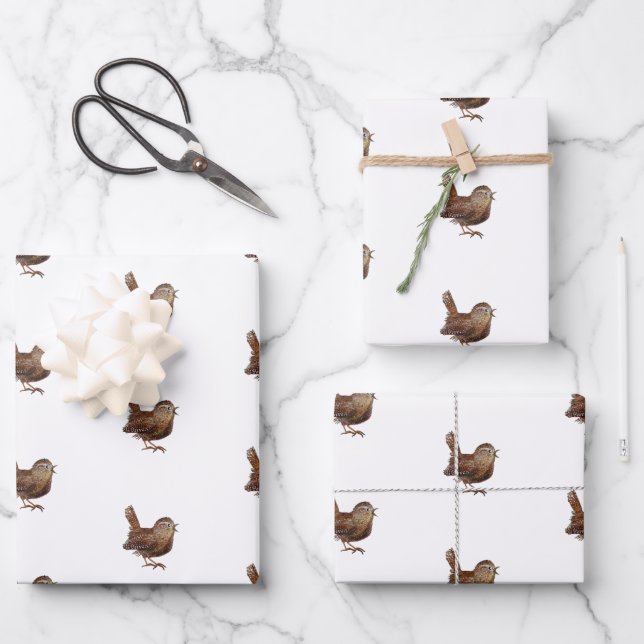 Hoja De Papel De Regalo Pájaro de Wren (Troglodytes Troglodytes) (Anverso)