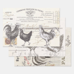 Hoja De Papel De Regalo Pájaro desconchador del gallo francés Hen Receptor