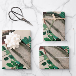 Hoja De Papel De Regalo Pájaros pelícanos marrones de América Impresión Au