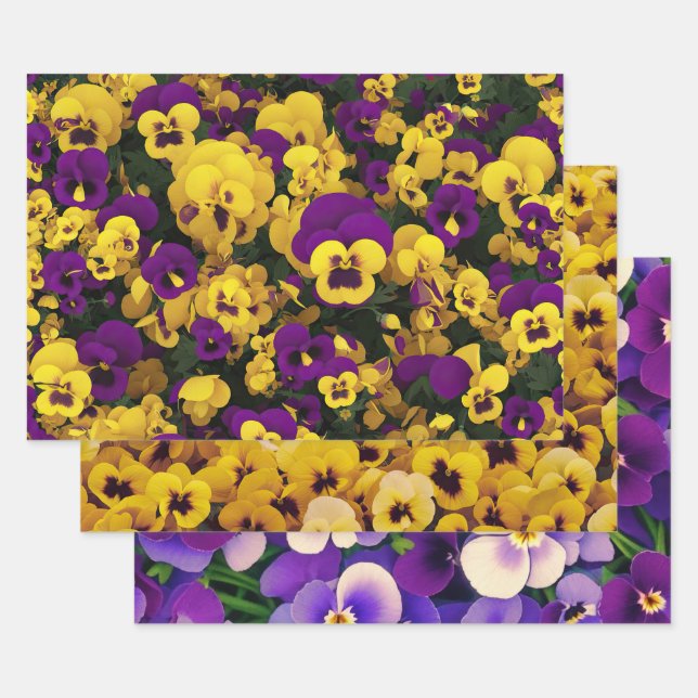 Hoja De Papel De Regalo Pansias amarillas y moradas (Set)
