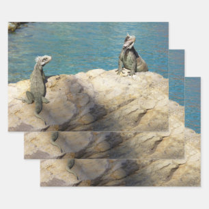 Hoja De Papel De Regalo Pareja de Iguanas Fotografía de Vida Silvestre Tro