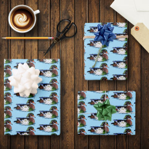 Hoja De Papel De Regalo Pato de madera colorido Nenúfar Vida silvestre Azu