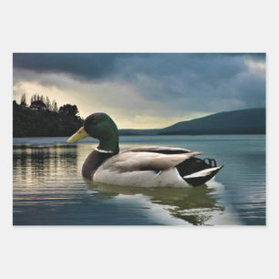 Hoja De Papel De Regalo Pato Real en el Lago