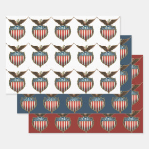 Hoja De Papel De Regalo Patriotismo Vintage, Águila orgullosa sobre la ban