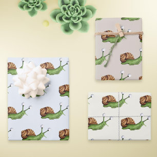 Hoja De Papel De Regalo Patrón de caracol