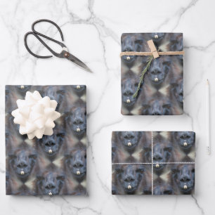 Hoja De Papel De Regalo Patrón de la naturaleza de la cara de la llamada n
