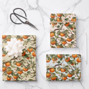 Hoja De Papel De Regalo Patrón de Persimmons