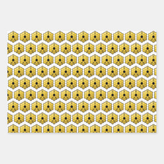 Hoja De Papel De Regalo Patrón de reflejo de James Webb Space Telescope JW