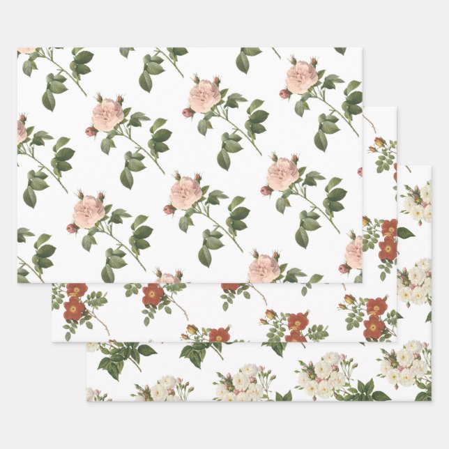 Hoja De Papel De Regalo Patrón de rosa (Set)