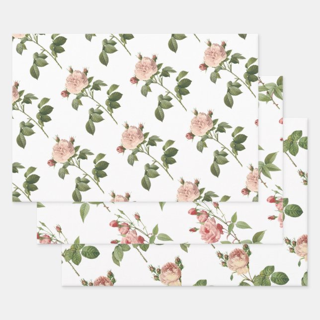 Hoja De Papel De Regalo Patrón de rosa rosa (Set)