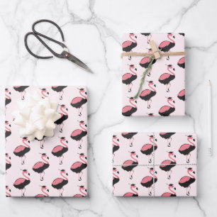 Hoja De Papel De Regalo Patrón Flamingo Rosa Graduación Animal