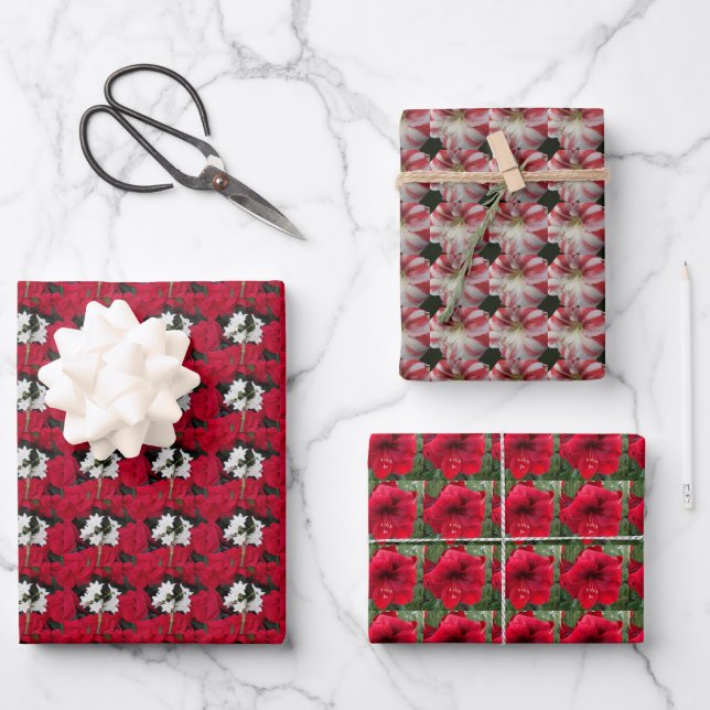 Hoja De Papel De Regalo Patrón floral Amaryllis (Anverso)