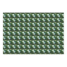 Patrón floral del corazón sangrado blanco