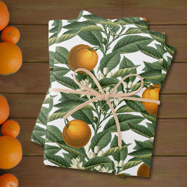 Hoja De Papel De Regalo Patrón Vintage de Naranja botánico Fruit Blossom