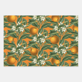 Hoja De Papel De Regalo Patrón Vintage de Naranja botánico Fruit Blossom