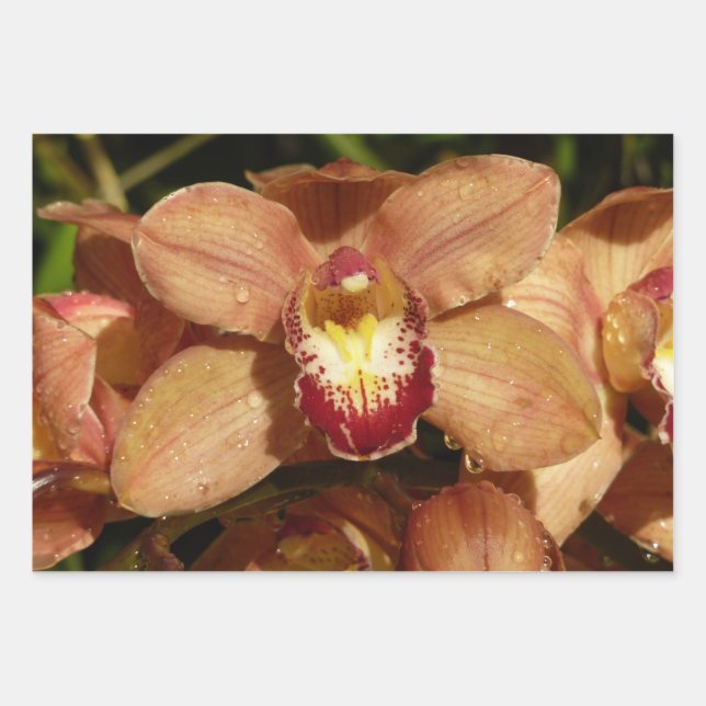 Hoja De Papel De Regalo Peach Orchids with Raindrops Floral (Anverso)