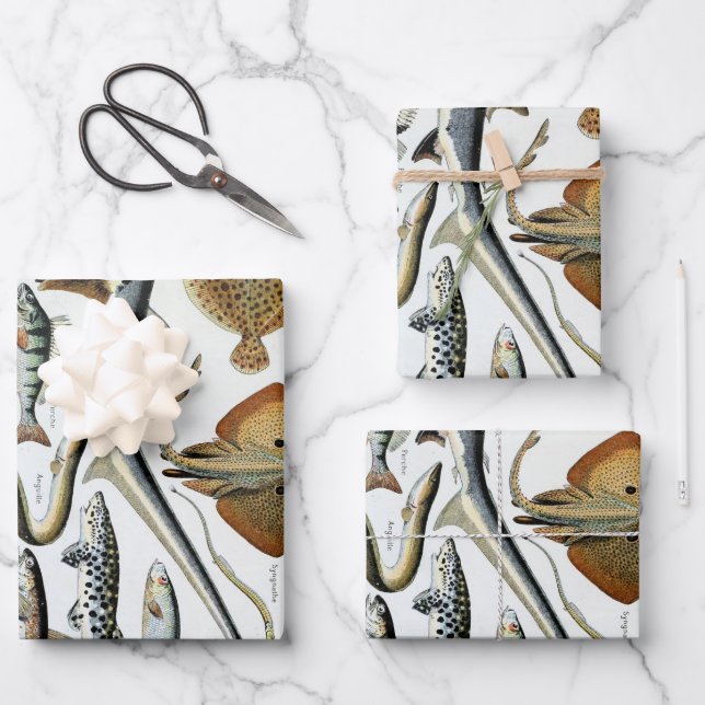 Hoja De Papel De Regalo Peces de época del Poster Mundial (Anverso)