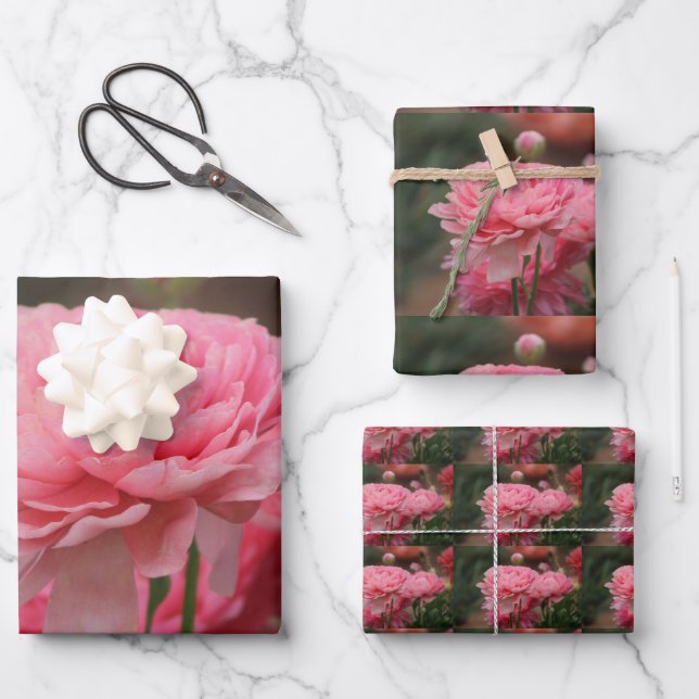 Hoja De Papel De Regalo Peony Pink Ranunculus Closeup (Anverso)