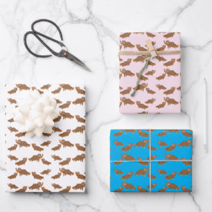 Hoja De Papel De Regalo Perezoso durmiendo la siesta