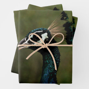 Hoja De Papel De Regalo Perfil del pavo real