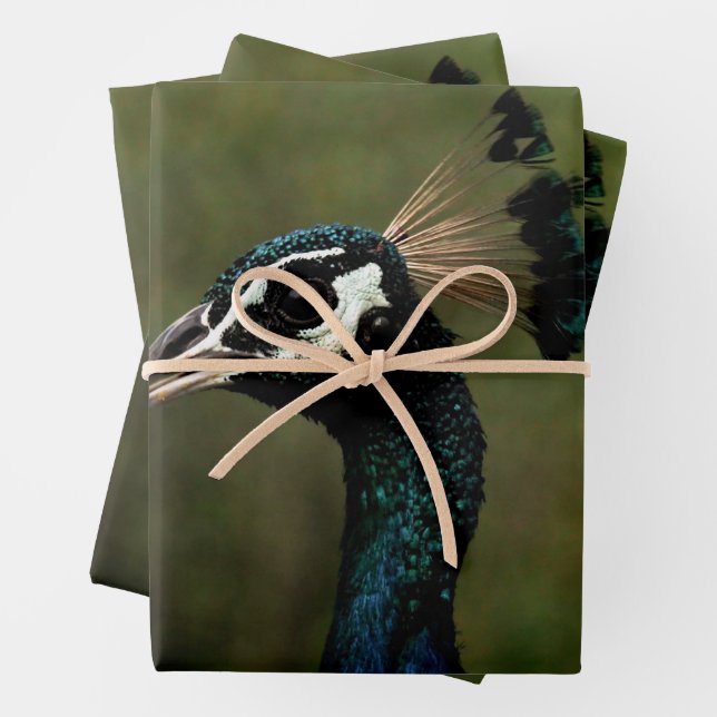 Hoja De Papel De Regalo Perfil del pavo real (In situ)