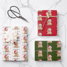 Perro Golden Retriever Santa Navidad