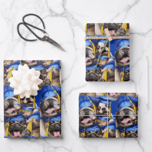 Hoja De Papel De Regalo Perros y gatos graduados en cabina de fotos