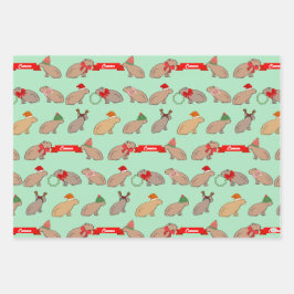 Hoja De Papel De Regalo Personalized Capybara Cute Wildlife Christmas