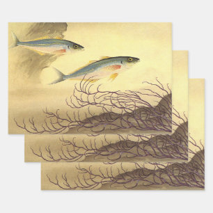 Hoja De Papel De Regalo Pescado Caballa en el Océano, Arte Vintage Japonis