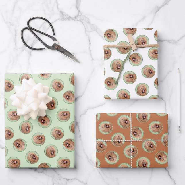Hoja De Papel De Regalo Pintura de Briard Tawny Black Overlay Cute Dog Art (Anverso)