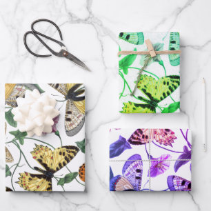 Hoja De Papel De Regalo Pintura de mariposa y polilla vintage