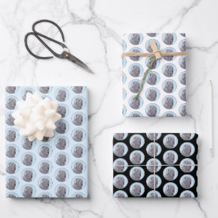 Hoja De Papel De Regalo Pintura de Mastín Napolitano - Arte Original de Pe