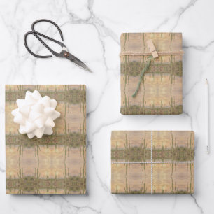 Hoja De Papel De Regalo Plantas de Cactus del Desierto sobre Imagen Fotogr