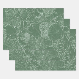 Hoja De Papel De Regalo Playa de conchas de mar costeras verde blanco Deco