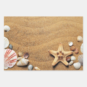 Hoja De Papel De Regalo Playa de Holiday Seashells