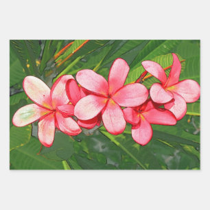 Hoja De Papel De Regalo plumeria
