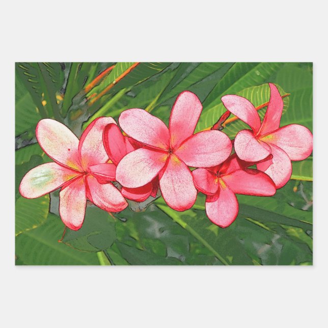 Hoja De Papel De Regalo plumeria (Anverso 3)