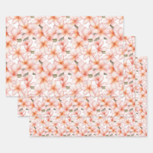 Hoja De Papel De Regalo Plumeria rosa pálida Frangipani Flor