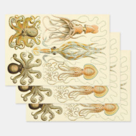 Hoja De Papel De Regalo Poulpo vintage Gamochonia de Ernst Haeckel