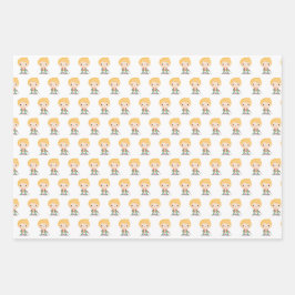 Hoja De Papel De Regalo Principito