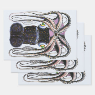 Hoja De Papel De Regalo Pulpo o Calamar Gigante, Animal de Vida Marina Ant