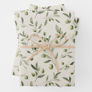 Hoja De Papel De Regalo Rama de oliva - Mediterráneo